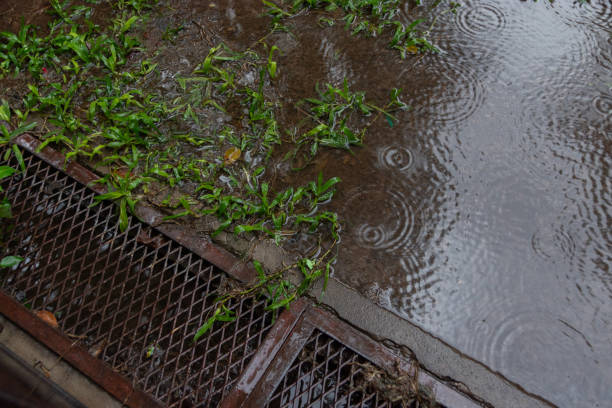 istock Heavy rains flood storm drains 2166875429