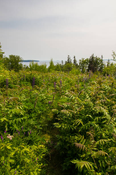 istock Penobscot Bay at Castine, Maine 2166876318