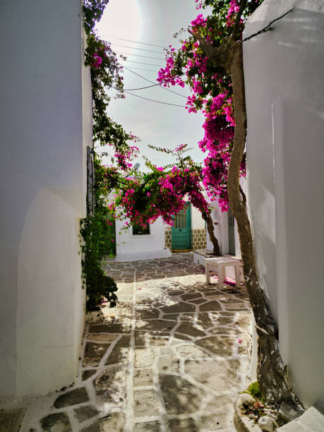 istock charming street in podromos paros 2166876337