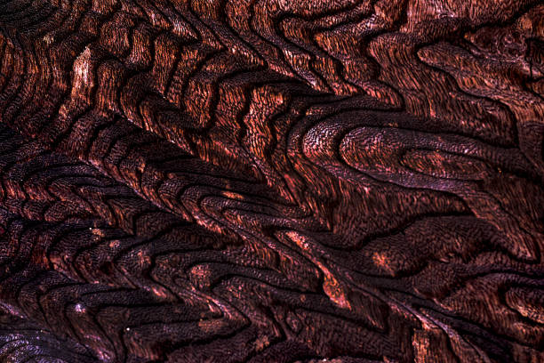 Abstract wood texture as background, macro view