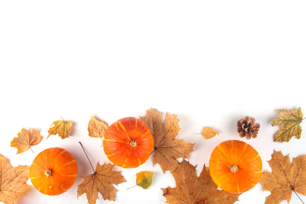 istock Autumn leaves and pumpkins flat lay on white background 2166884772