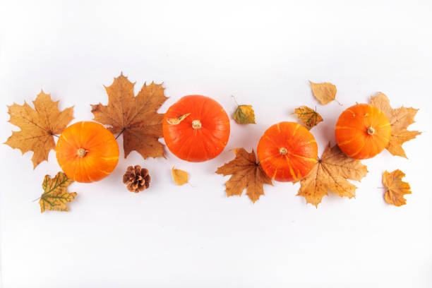 istock Autumn leaves and pumpkins flat lay on white background 2166884773