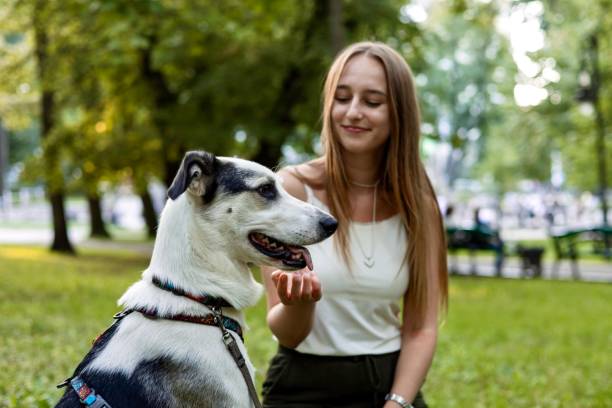 istock A happy dog and his owner 2166885292