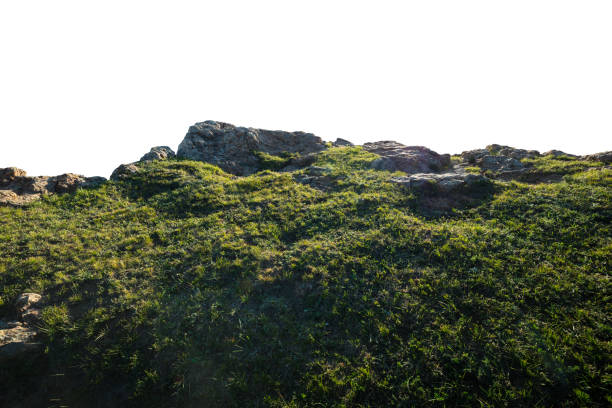 istock Rocks and grass isolated on white background 2166888056