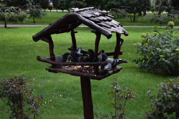 Handmade bird feeder with birds. Wooden bird feeder in the form of a house with a roof, attached to a wooden post in a park among trees in the nature