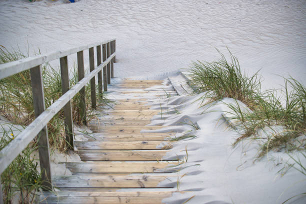 Wooden boardwalk on sandy beach with dune grass, creating a tranquil and serene coastal atmosphere. Ideal for capturing peaceful nature scenes and summer relaxation.