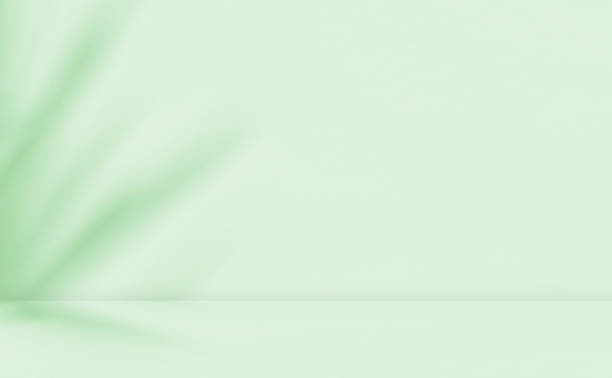 istock Empty green room studio with sunlight effect shadow of leaves. 2166888238