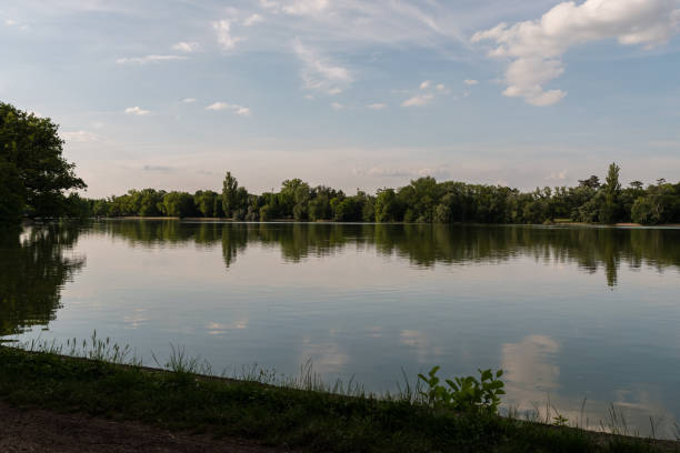 Lake in a public park in Tata in summer.