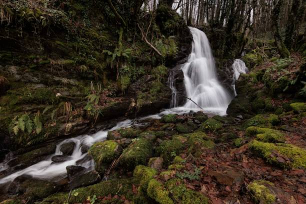 istock Small waterfall flowing through mossy rocks in the forest 2166896687