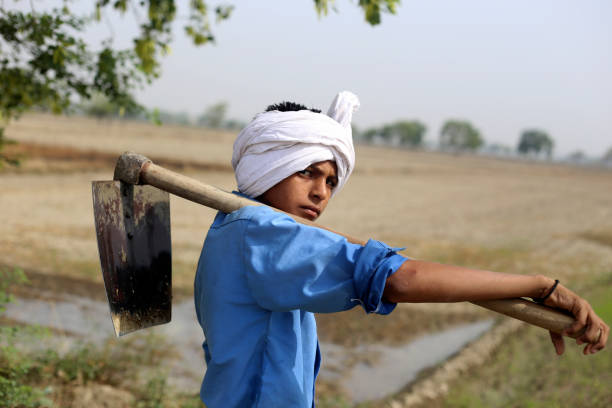 Young farmer of Indian ethnicity standing in agricultural field and carrying hoe on his shoulders.