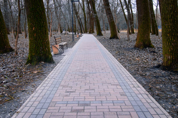 bare branches trees foot path way abandoned park alley pavement street tile floor