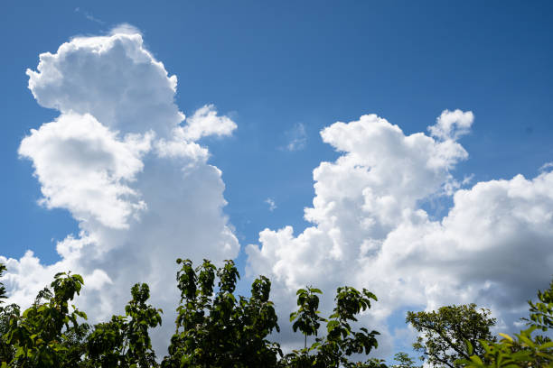istock clouds and blue sunny sky,  white clouds over blue sky, Aerial view,  nature blue sky white cleat weather. 2166898268