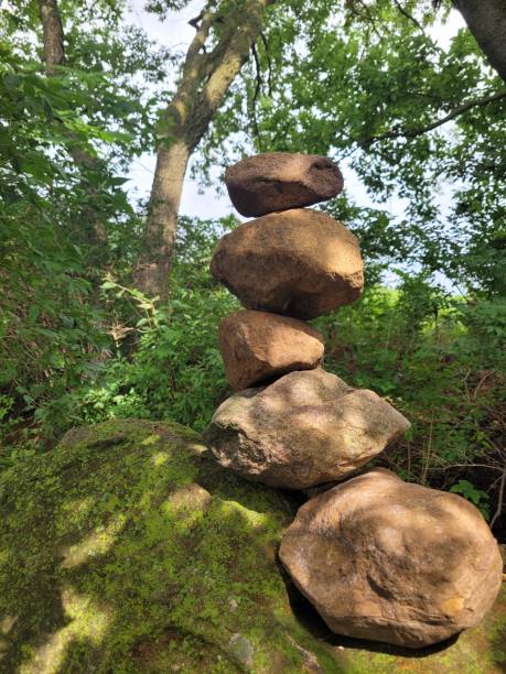 istock Balance in Nature 2166898759