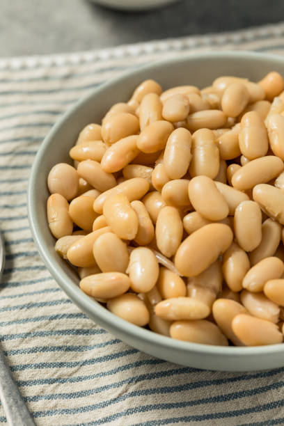 istock Healthy Organic White Cannelloni Beans 2166899788