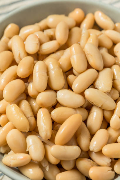 istock Healthy Organic White Cannelloni Beans 2166899921