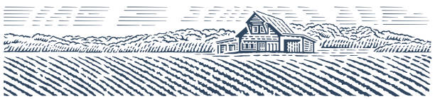 Rural landscape with agriculture fields and farm building. Vector illustration.