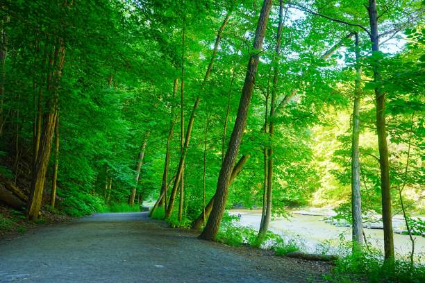 istock Taughannock State Park New York 2166901178