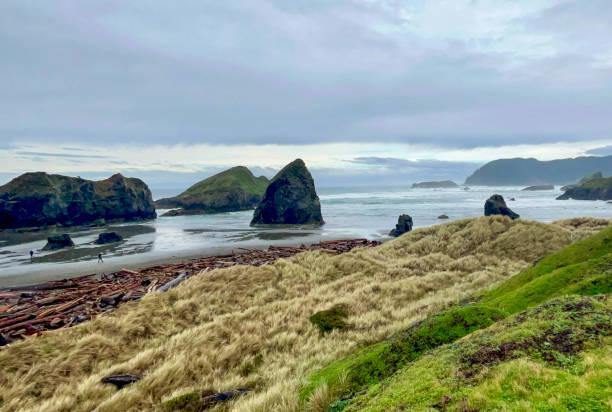 istock Rock Islands Along The Coastline With Green Grass Under Grey Clouds 2166902403
