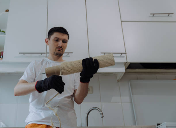 istock A man is renovating a cat's house at home. 2166909060