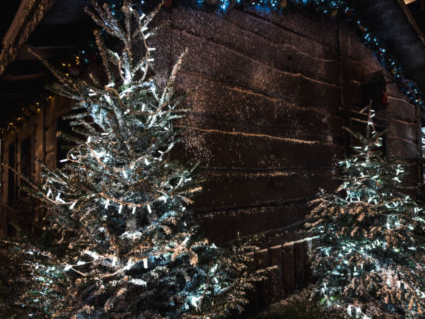 Snowflakes gently settle on Christmas trees adorned with twinkling lights against a rustic wooden backdrop, evoking a cozy holiday spirit.