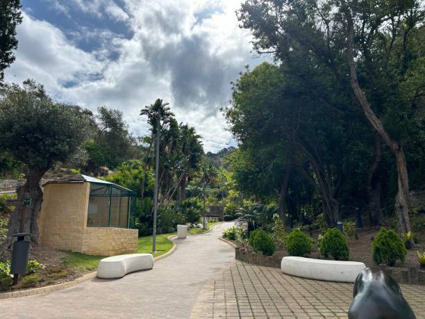 istock San Amaro Park 2166910386