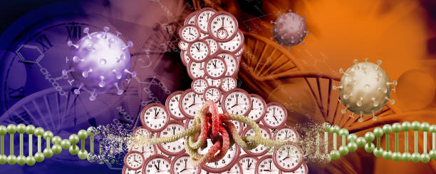 istock A Timeworn Enigma: The Impact of Time on Biological Systems and Genetic Evolution 2166911182