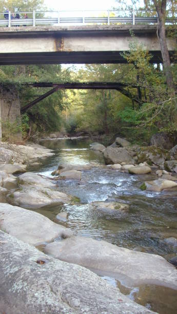 istock A stream near Senarica (TE) 2166912698