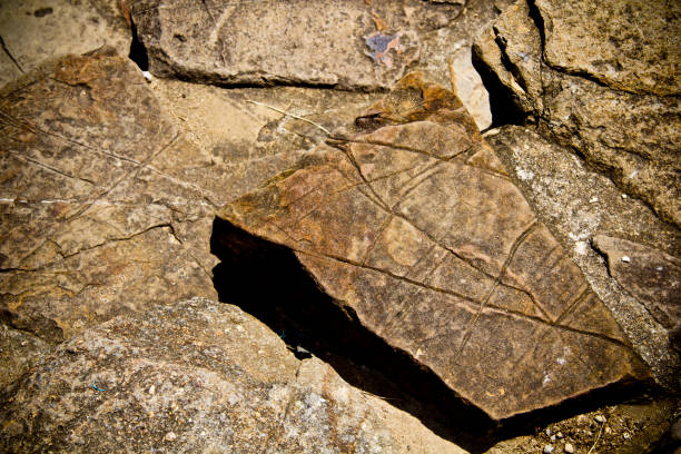istock Desert slabs and stone, texture close-up. 2166913703