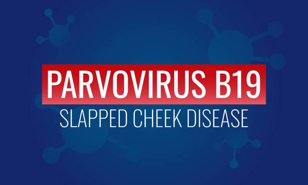 290  Slapping Background Stock Illustrations Royalty Free Vector 290  Slapping Background Stock Illustrations Royalty Free Vector