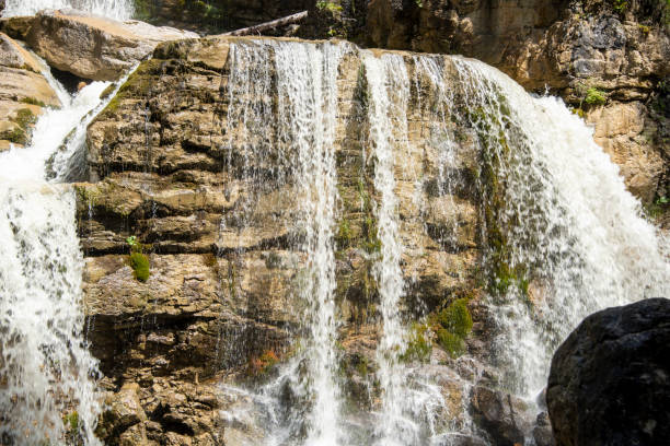istock water flowing through pebbles in stream 2166918478