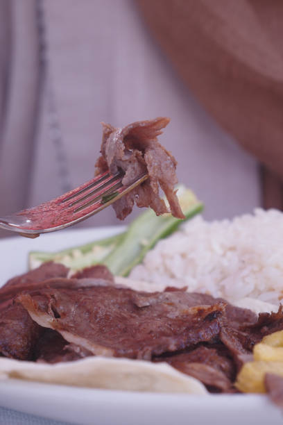 enjoying Doner kebab served with rice and salad