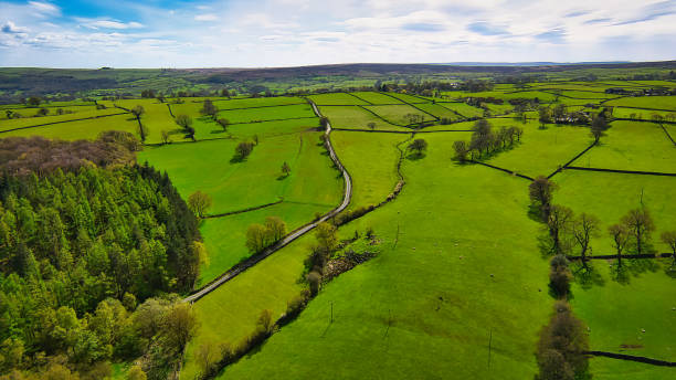 istock Verdant Countryside Road in North Yorkshire 2166928074