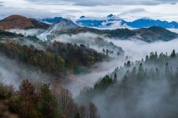 istock The Mountainous Forests of Wenzhou 2166931030