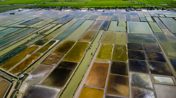 istock Salt fields in Thailand, Asia, seen from above 2166933142