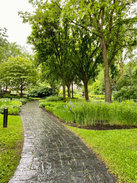 istock Quebec City Path City 2166933415