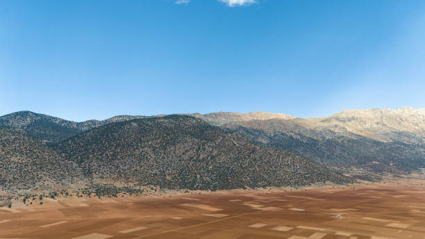 In the Mediterranean region, golden fields are being harvested among the mountains in an obaa. The drone footage captures an industrial harvester working in wide fields of crops during the summer season. The machine harvests the crops in orderly rows, increasing the productivity of the farmland. The image highlights how modern agricultural technology operates in harmony with nature, showcasing the golden hue of the crops and the beauty of rural life.