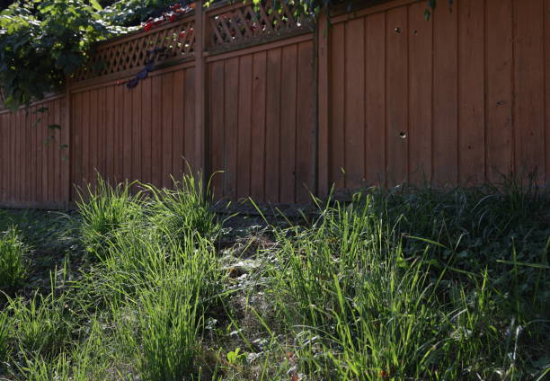 istock Overgrown Grass on a Fence-line in Canada 2166934486