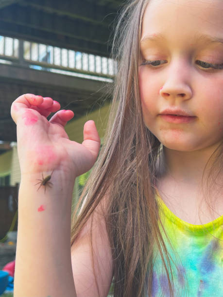 istock Girl Holds Large Spider 2166939548