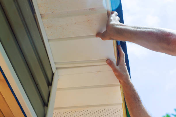 istock Installing vinyl soffit plastic panels on facade ceiling of a new home by an employee 2166939921