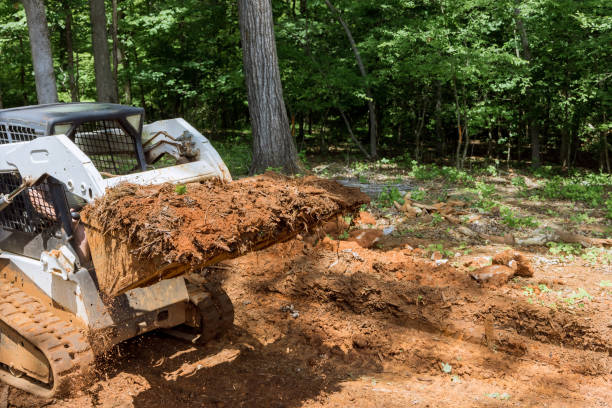 istock With bucket, a tractor is leveling ground in forest during earthworks 2166939935