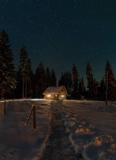 Isolated Cosy Log Cabin in Pine Woodland under Night with Clear Starry Sky. Stepway through the Snow. Lights on.