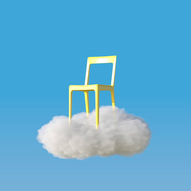 dining chair different angle  isolated on white background .