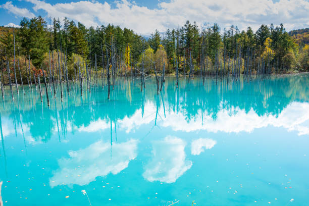 istock Autumn blue pond reflecting the blue sky 2166944166