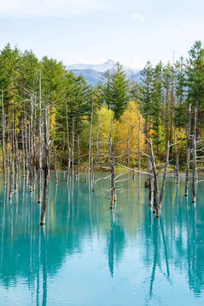 istock Blue pond in autumn with rippling waves 2166944189