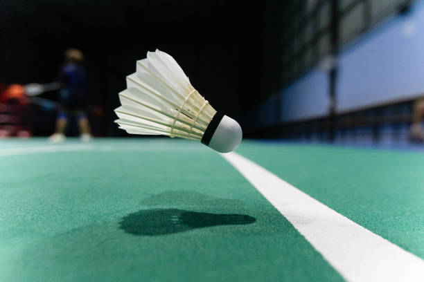 istock badminton court 2166953086