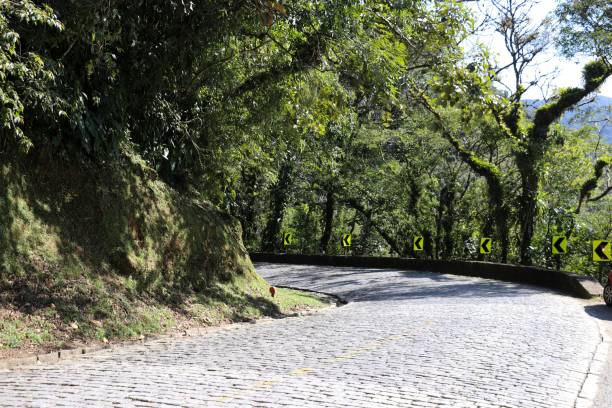 istock Estrada da Graciosa, historic road, which crosses the Serra do Mar 2166956722