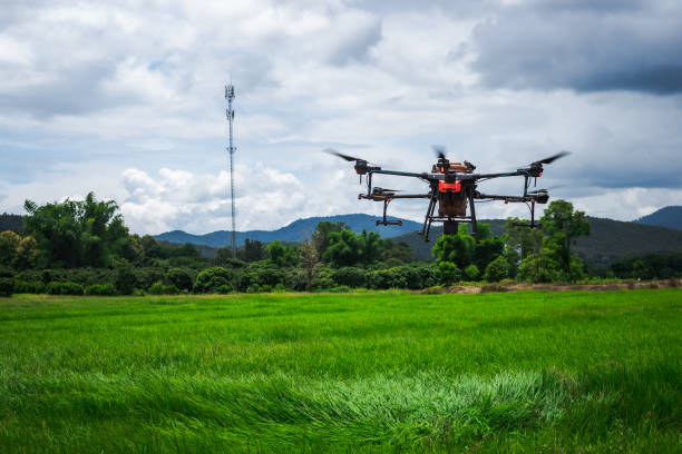 istock Modern technologies in agriculture. An industrial drone flies over a green field. 2166956904