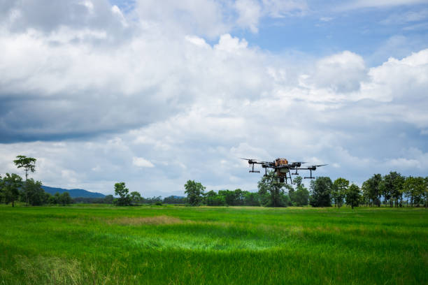 istock Drone flying over a green grass field with cloudy sky in the background 2166956907