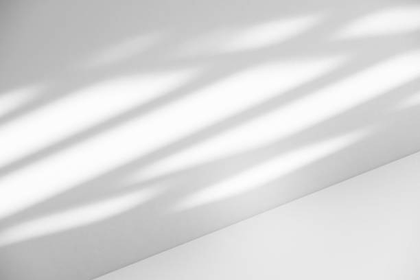 istock Studio style background wall decoration presentation uses white tones. with shadows cast from a nearby window, concept creating a decorative backdrop. 2166958937