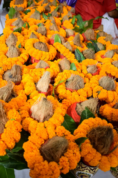 istock Kalash with coconut and mango leaf with floral decoration earthen pots containing sacred water. Kalash for hindu puja during Jagannath Temple Mangal Kalash Yatra, front view, closeup 2166960032